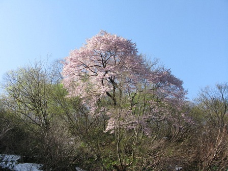 ookuray21204_1022.jpg