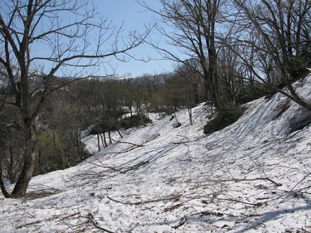 ookuray21204_1028.jpg
