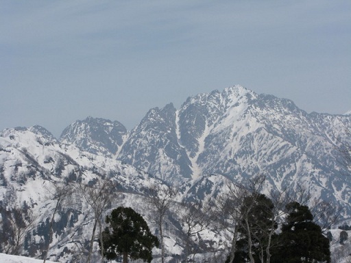 ookuray21204_1054.jpg