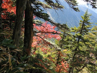okumaru213_0768.jpg